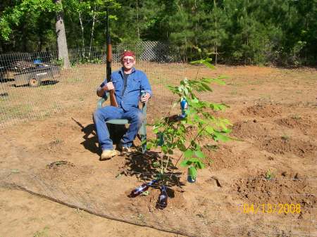 My beer plant.