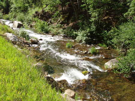 Creek near Spearfish, SD 2004