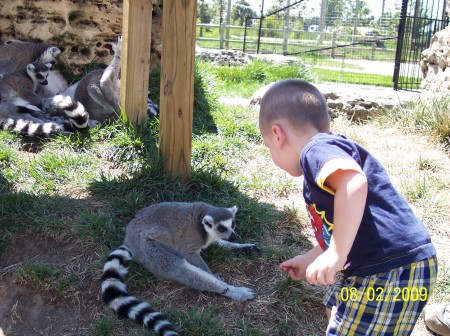 An afternoon at Tanganyika