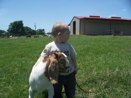 Dream Acres Boer Goats