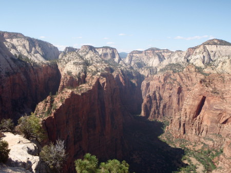 More from Angels landing.