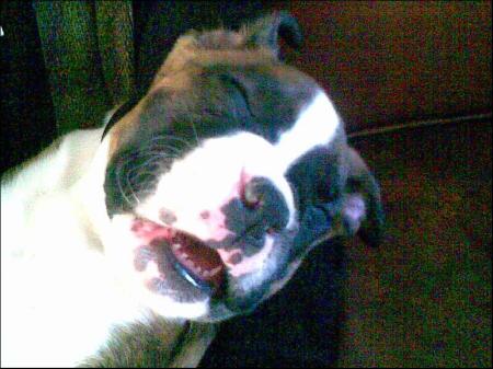 Dozer dozing