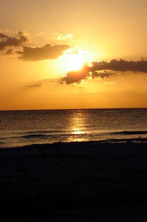 Siesta Key Sunset