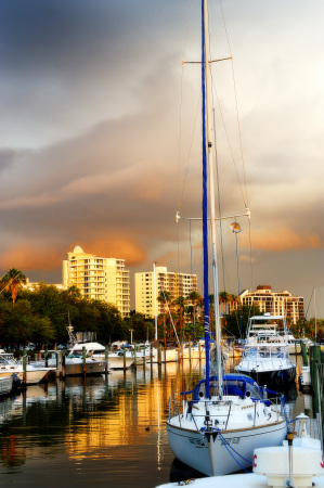 Marina Jacks - Sarasota, FL