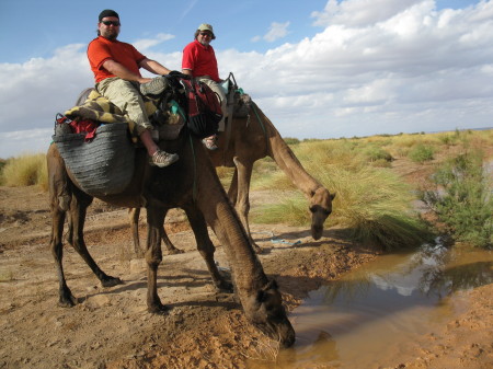 On a camel in the Sahara.