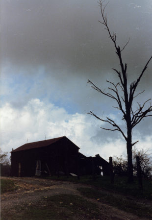 Farm Yard Crossroad