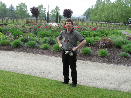 Robert Mondavi Vineyards in Napa Valley