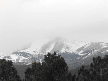 "Old Baldy"