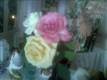 Mom's roses