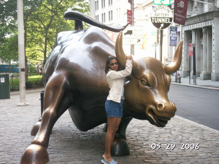 Grabbing the Bull by the Horns - Wall St. NYC