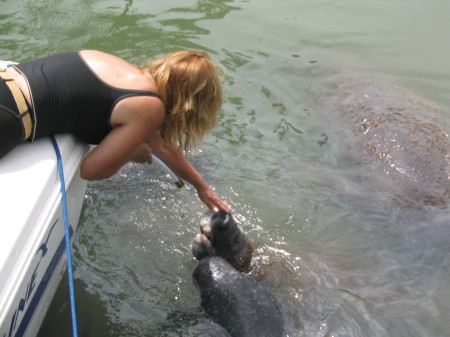 Me with the Manatees