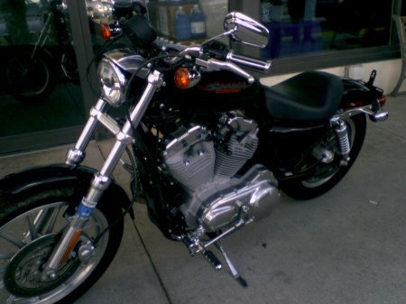 "THE PRETTY ONE" my 2nd HARLEY