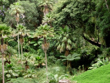 Wahiawa Botanical Garden