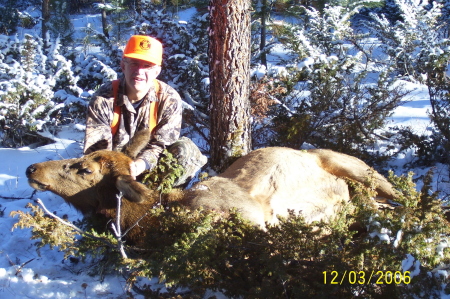 Hunting elk