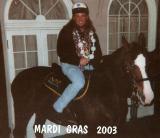 MARDI GRAS...POLICE HORSE