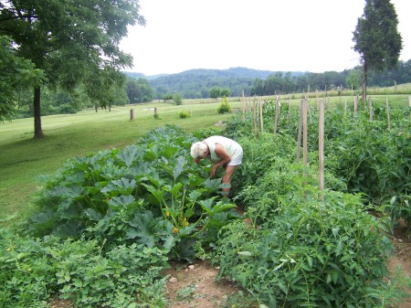 gardening time