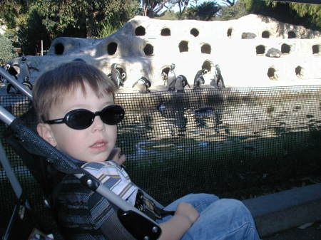 Grandson "cool dude" at the zoo