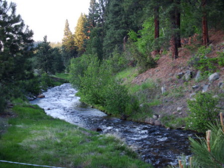 Montana scenery