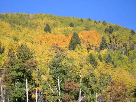 New Mexico Fall