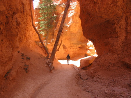 Bryce Canyon, UT '08