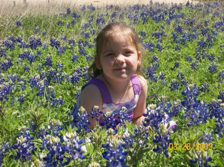 ea & bluebonnets