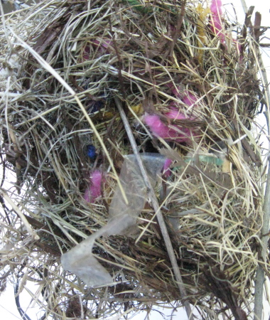 Nest back door