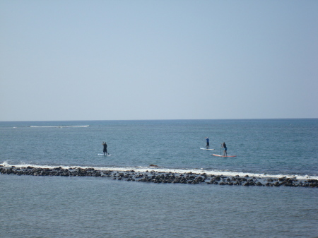 Stand up paddle boards