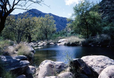 Sabino Canyon