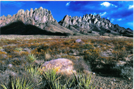 Organ Mountains