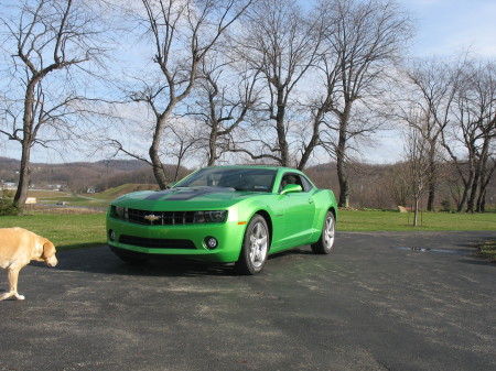 My New Ride, 2010 Synergy Camaro