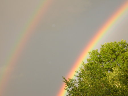 RAINBOW