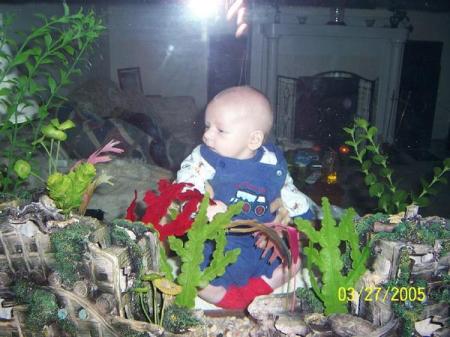 Damon and the Fish tank