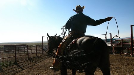 Going through the works in NM