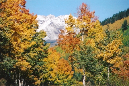 Our Home in Colorado