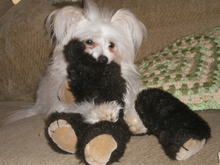 Katy with her Bear.........