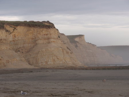 Bluffs at Point Reyes, CA