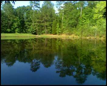 carol's pond