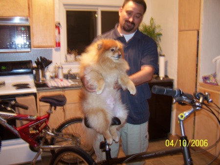 Teddy sitting on my bike..yes that is me