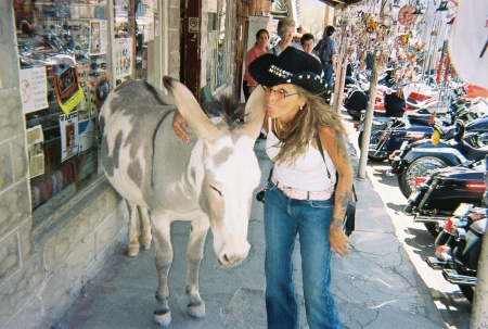 Oatman , AZ