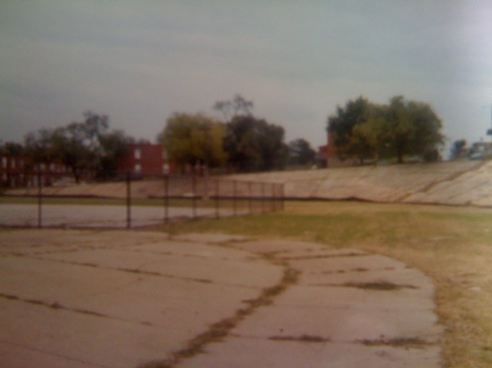 PS 239 playground