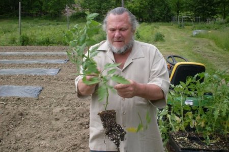 Bob in Garden