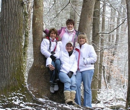 Snow Bunnies in a tree