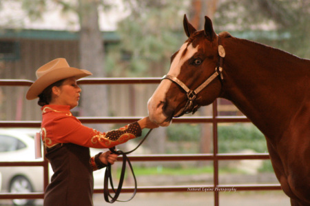 El Dorado Horse Show Sept.2009