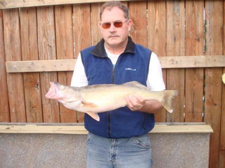 7 pound walleye