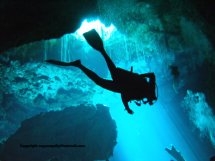 Mayan Cenote 07