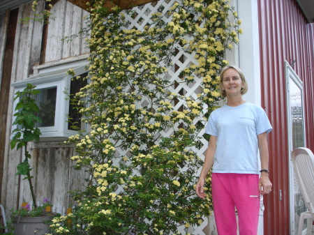 Mott beside her year old Lady Banks Rosebush