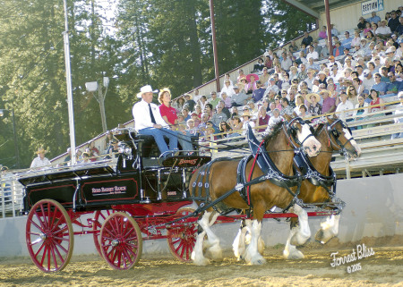 Draft Horse Classic 05 004