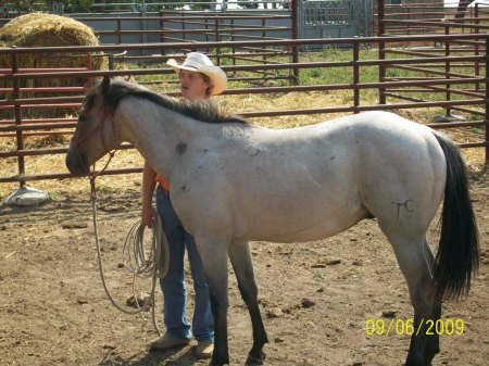 Luke and his colt.