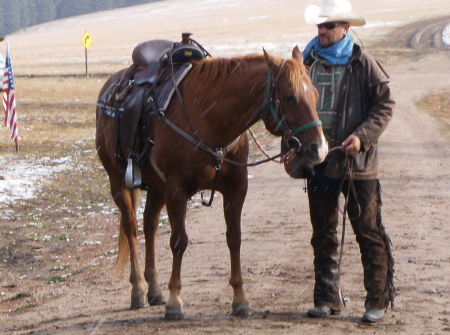 Cattle drive