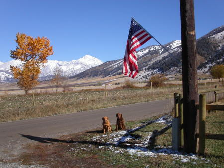 Monster Mule Deer 2006 (18)